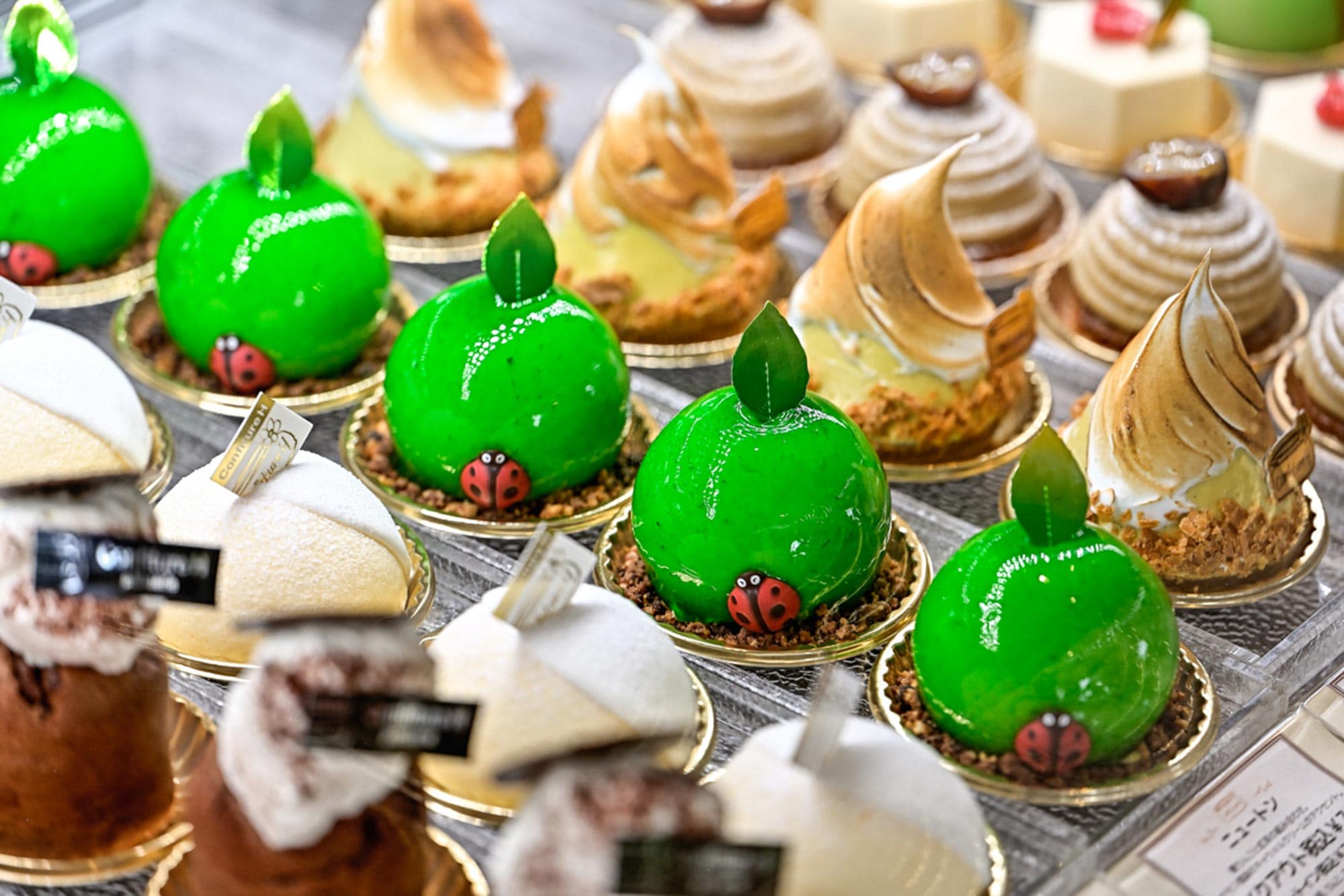 アクアイグニス