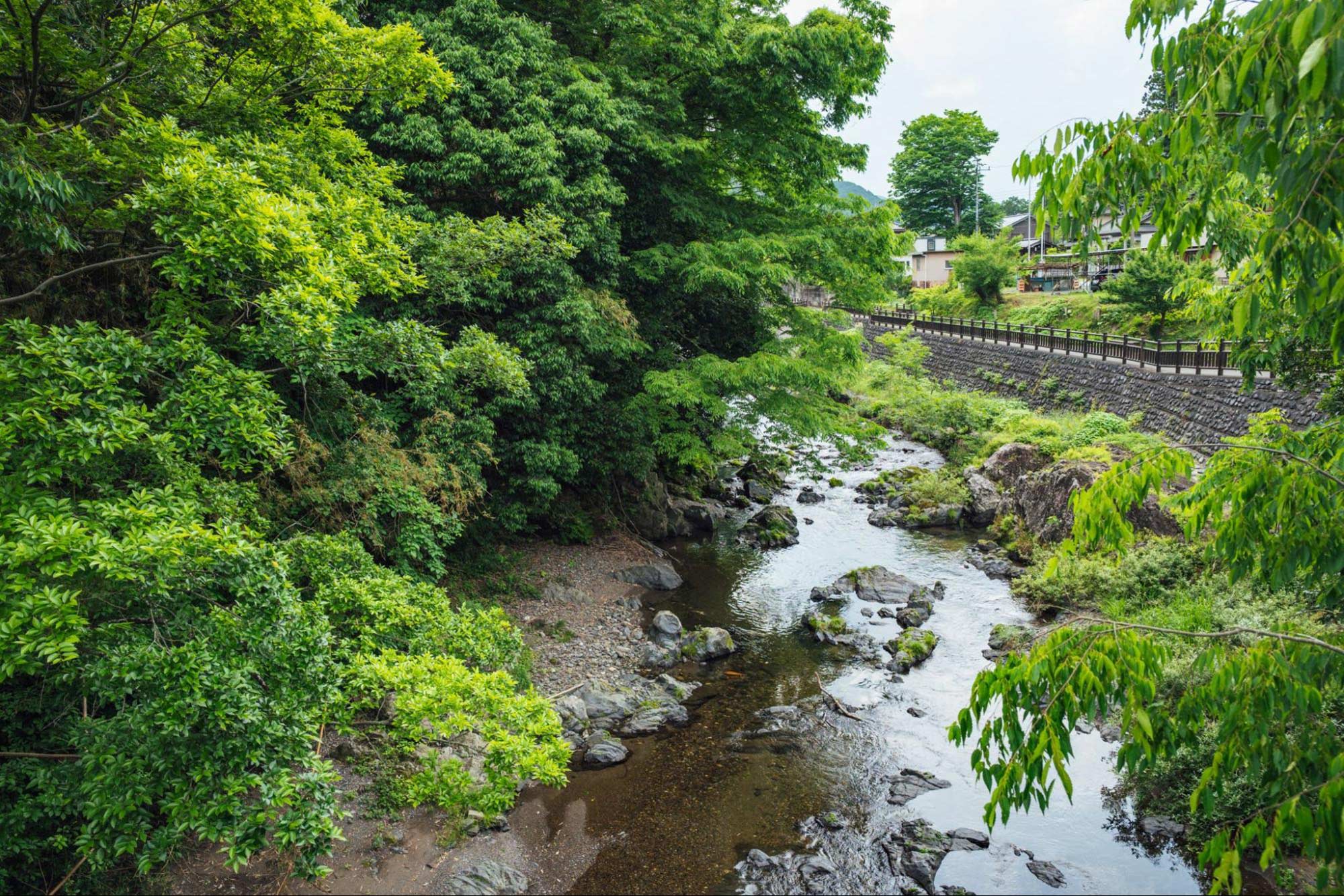 社会福祉法人 武蔵会
