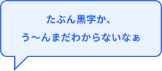 たぶん黒字か、う～んまだわからないなぁ