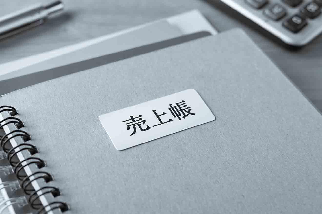 青色申告のための複式簿記と帳簿: 日々の帳簿のつけ方から確定
