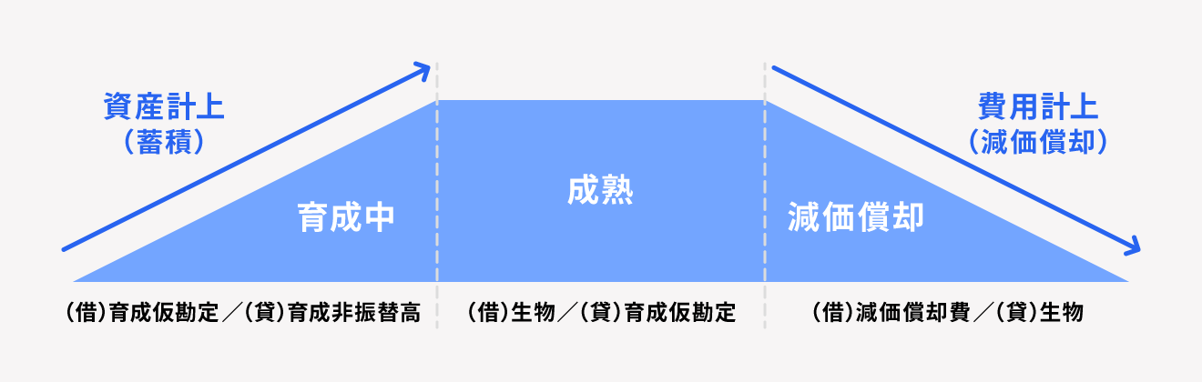 生物資産の取扱方法の違い