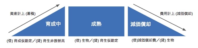 生物資産の管理（果樹／牧畜）