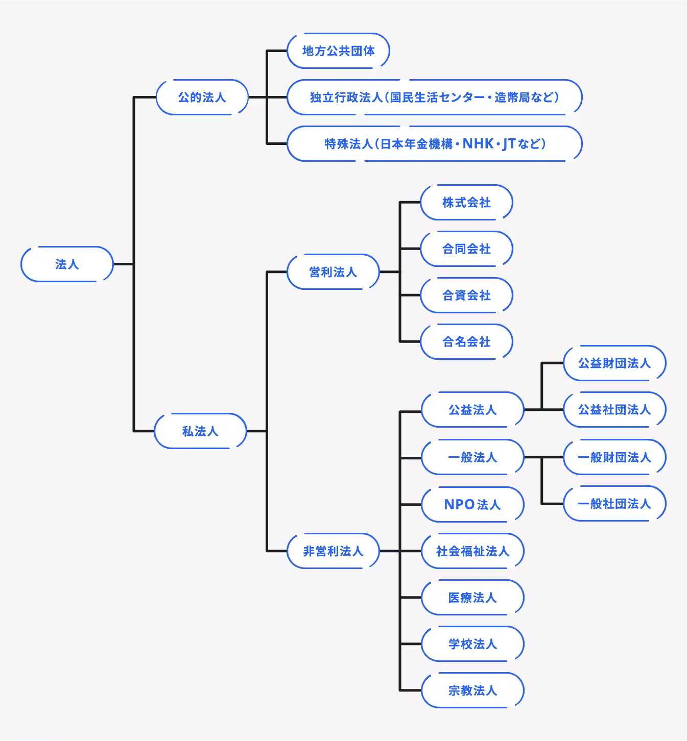 それぞれの法人の分類