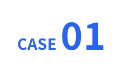 CASE01