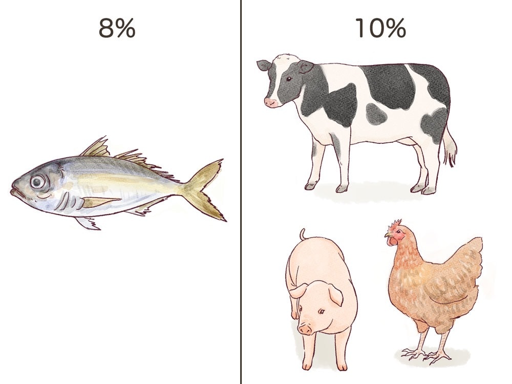 魚と家畜