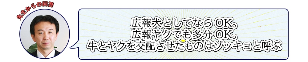 広報犬としてならOK。広報ヤクでも多分OK。牛とヤクを交配させたものはゾッキョと呼ぶ