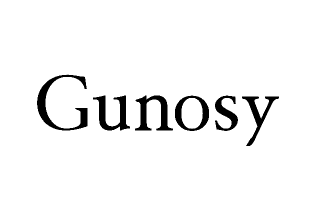 株式会社Gunosy